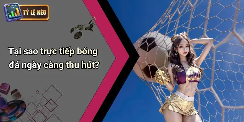 Trực tiếp bóng đá 1 Trực Tiếp Bóng Đá