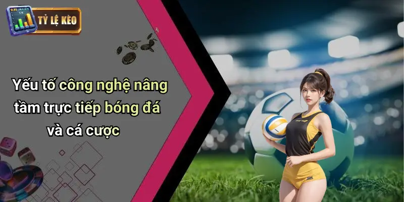 Trực tiếp bóng đá 3 Trực Tiếp Bóng Đá