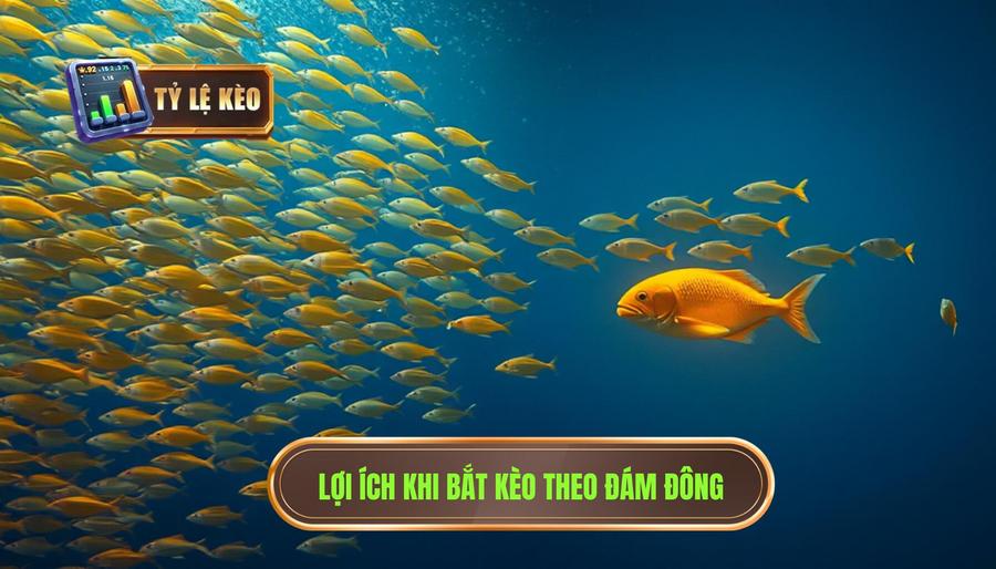 Bắt kèo theo đám đông: Lợi hay hại? Phân tích mặt lợi