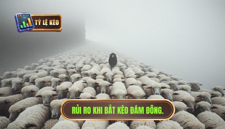 Những rủi ro tiềm ẩn khi bắt kèo theo đám đông