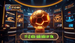 Những giải đấu dễ soi kèo nhất: Bí quyết chọn sân chơi để nắm chắc phần thắng
